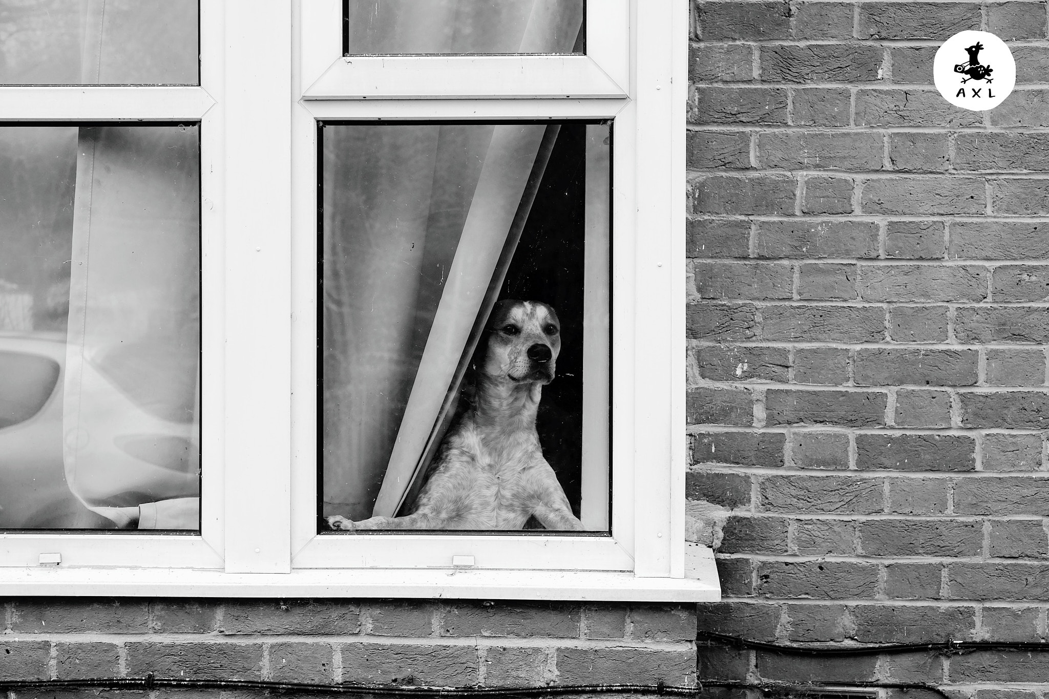 Street Photography
